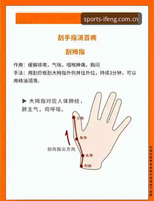 凤凰体育首页入口详解：新手快速上手指南与使用技巧